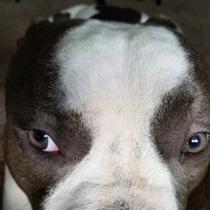 Meet your Posher, Kc